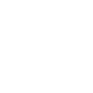 phone-icon
